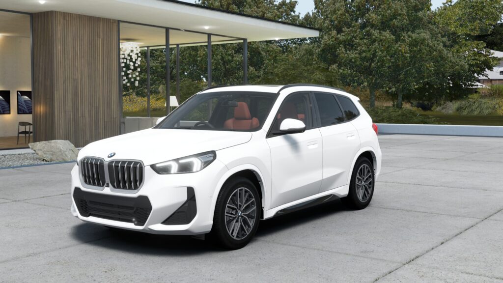 X1 xDrive20d M Sport アルピン・ホワイト 18インチ カスタネア