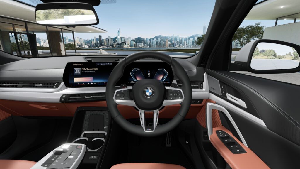 X2 xDrive20d M Sport M ブルックリン・グレー 19インチ カスタネアの画像3