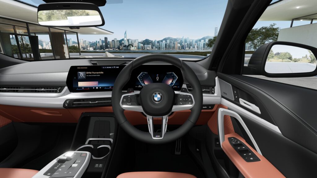 X2 xDrive20d M Sport スカイスクレイパー・グレー 19インチ カスタネアの画像3