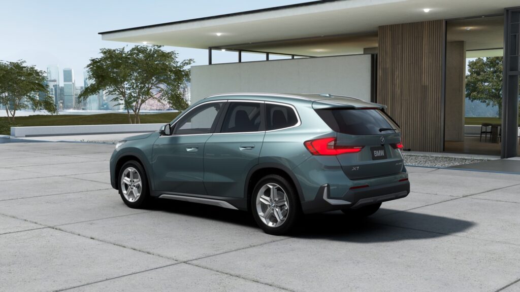 X1 xDrive20d M Sport ケープ・ヨーク・グリーン 18インチ カスタネアの画像1