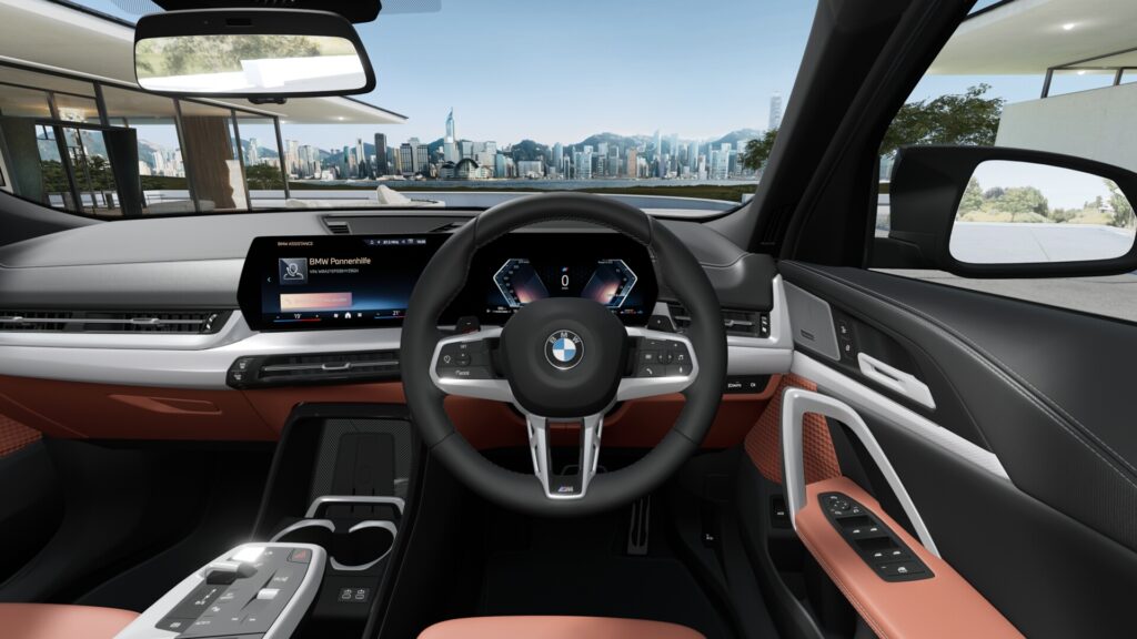 X2 xDrive20d M Sport ケープ・ヨーク・グリーン 20インチ カスタネアの画像3