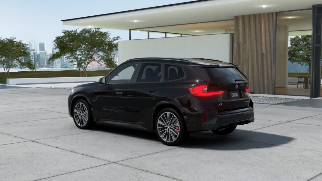 X1 xDrive20d M Sport ブラック・サファイア 20インチ カスタネアの画像1