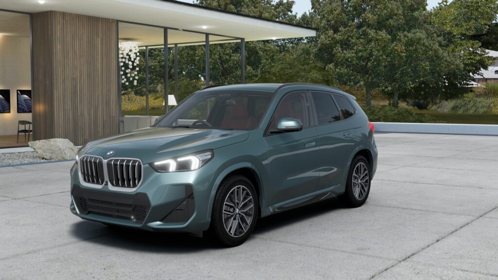 X1 xDrive20d M Sport ケープ・ヨーク・グリーン 18インチ カスタネア